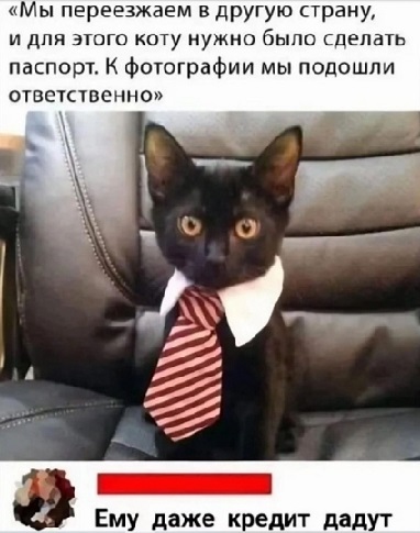 Без проблем