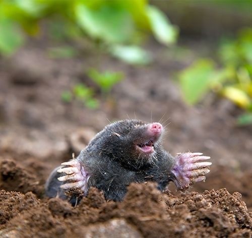 Прикольные и просто красивые картинки 04.04.2025