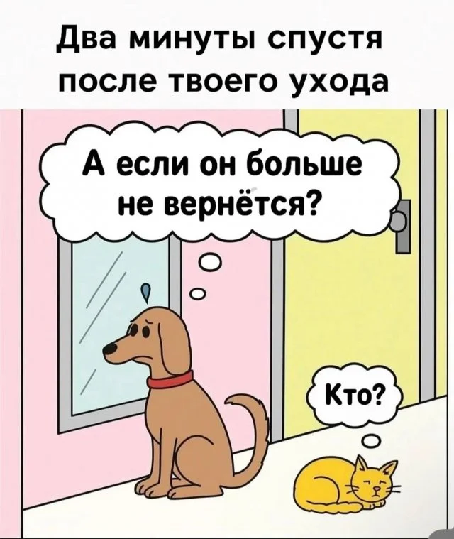 https://s00.yaplakal.com/pics/pics_original/7/9/3/20122397.webp