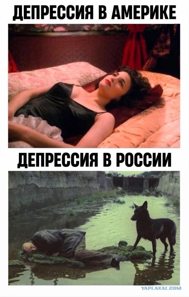 Картинки для деградации 36 (разной степени свежести)