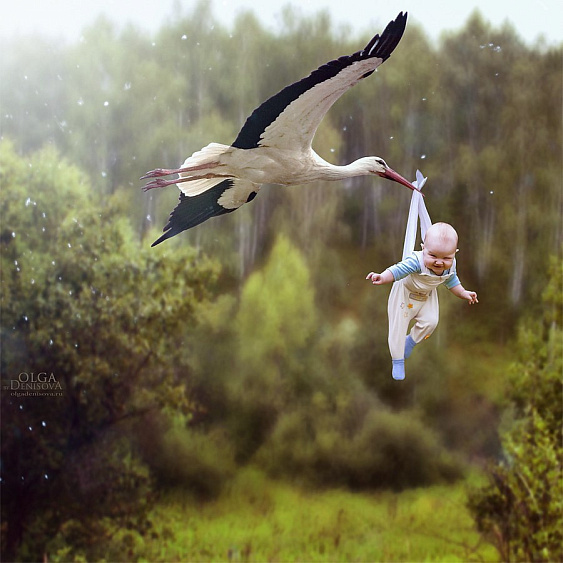 Земля слухами полнится! Вот птичье радио ему подсказало, где искать спасение и тепло!