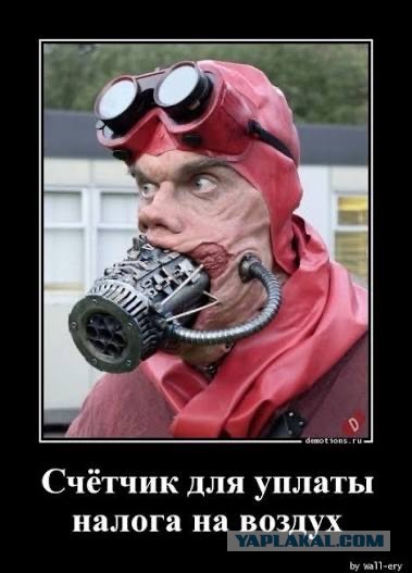 Налог на выгул собак хотят ввести в России