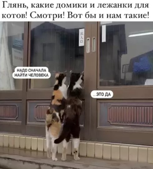Картиночки, баянчики 16 марта