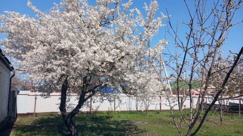 Новосибирск