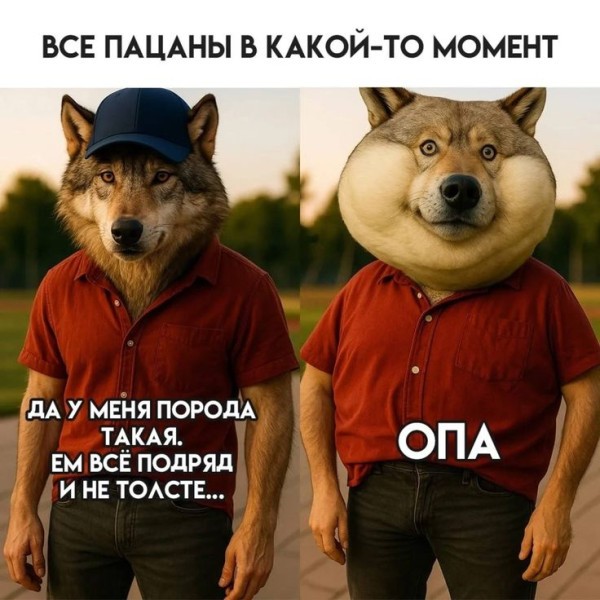 Среды картинки