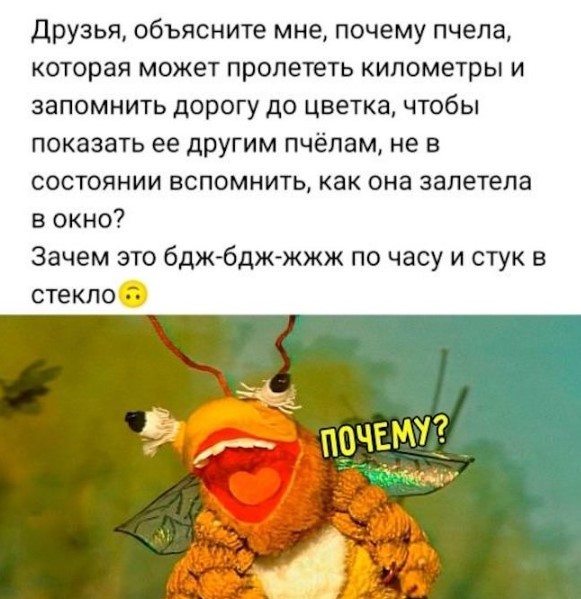 Так себе картинки 19.06.26