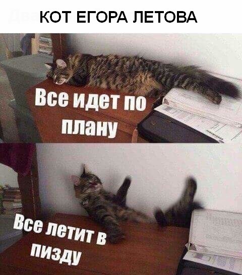 Картиночки, баянчики 08 июля