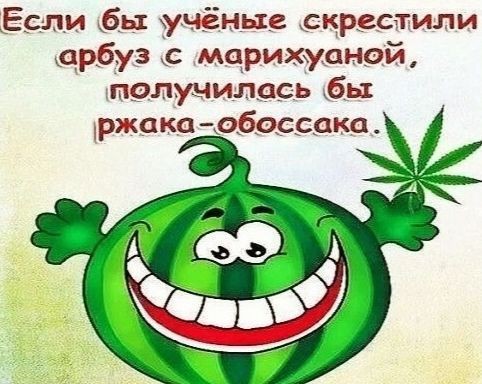 тРРРидцать тРРРи от 13 августа