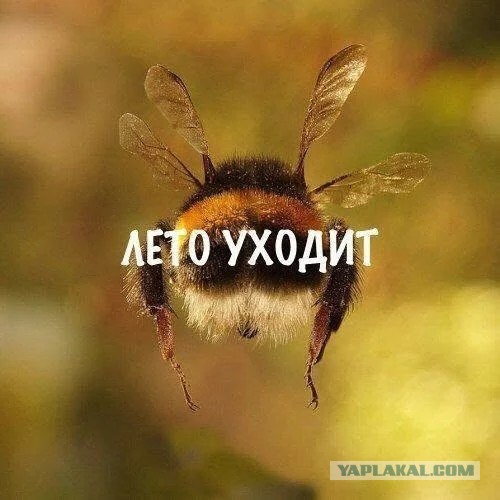 Это можно смотреть вечно
