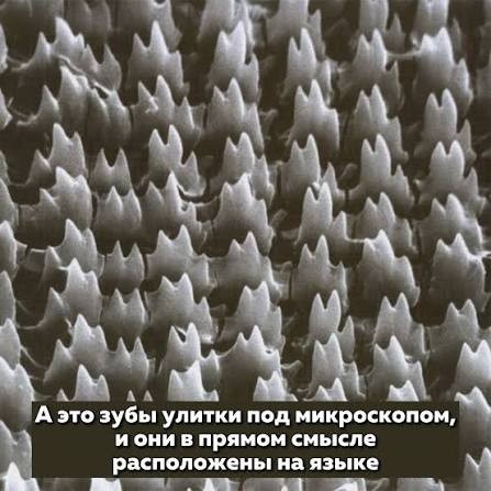 Вам просто необходимо сейчас это увидеть