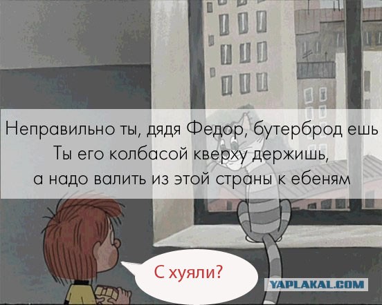 А Матроскин прав