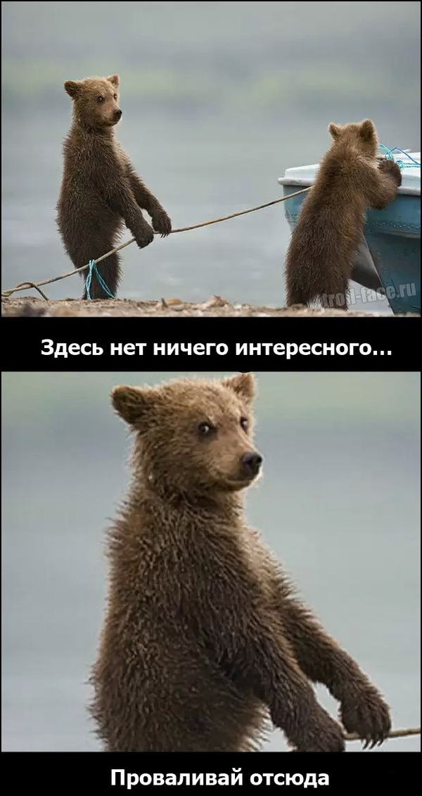 Веселые картинки