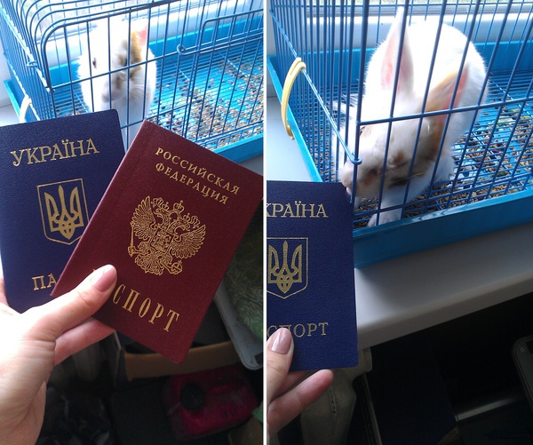 Да, я из Крыма...