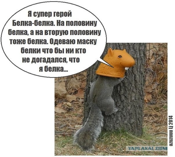 Смешные комментарии из соц.сетей