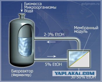 На Майдане не прекращается дурдом
