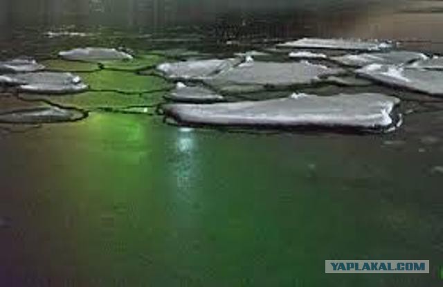 Когда вы плюсуeтe тему в платине
