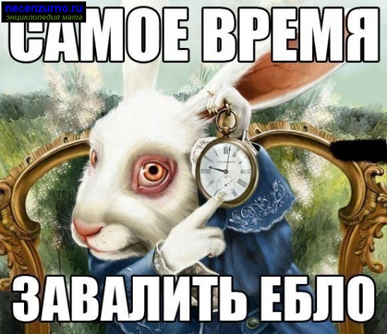 Стрелков жив и здоров!