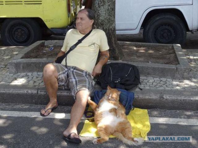 Соцсети - это настоящий филиал АДА на земле