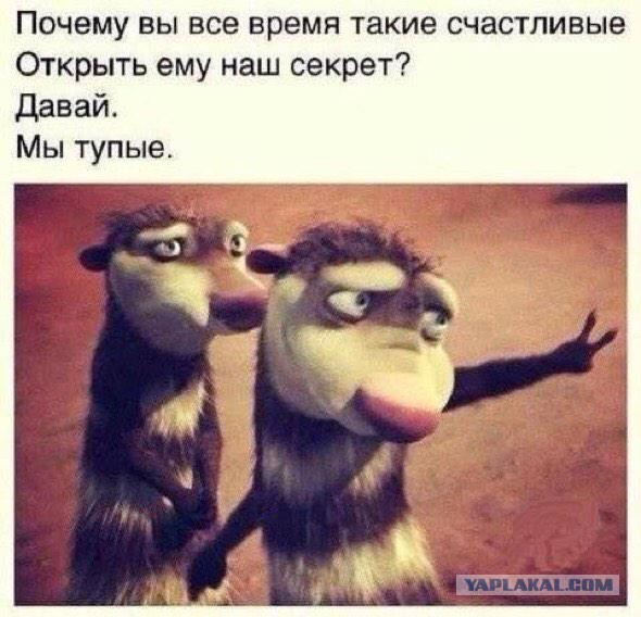 Комментарии из соцсетей на воскресенье