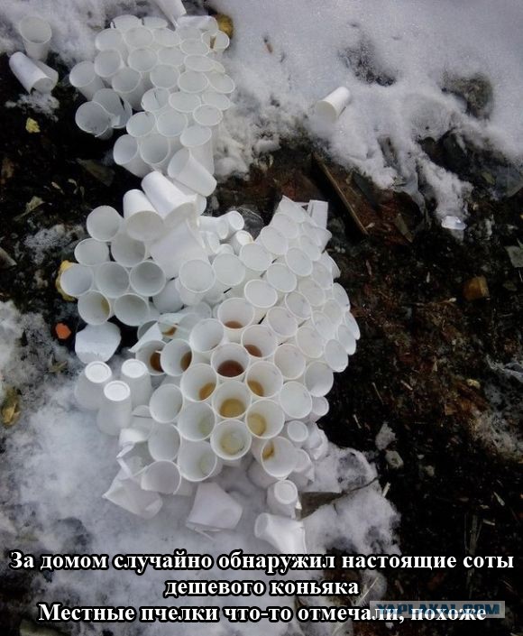 Картинки из сети на среду