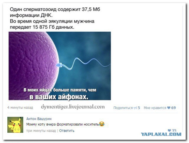Веселые картинки на пятницу