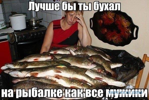 Минутка шизофрении