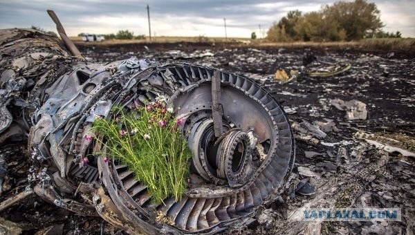 Первое видео с места падения Боинга MH17