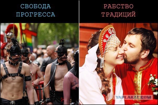 10 политических картинок часть 5