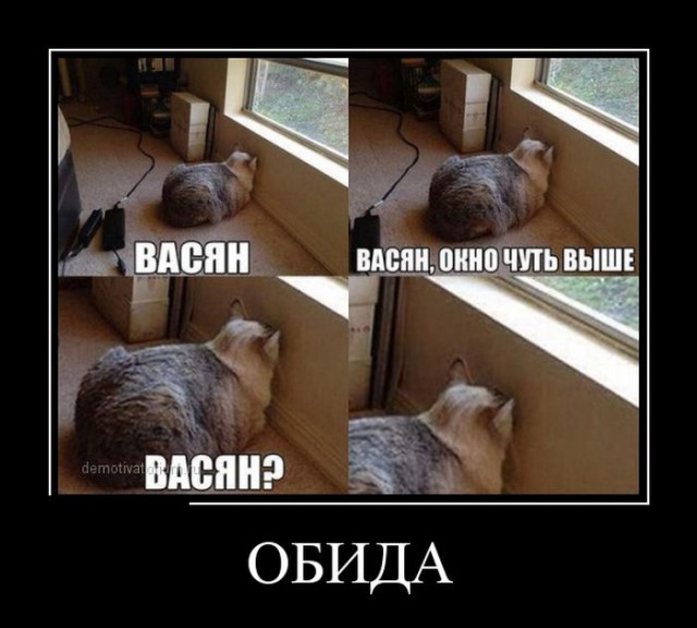 Котокомиксы