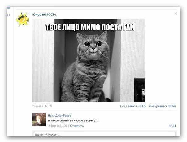 Ужасы и приколы из соцсетей 18+