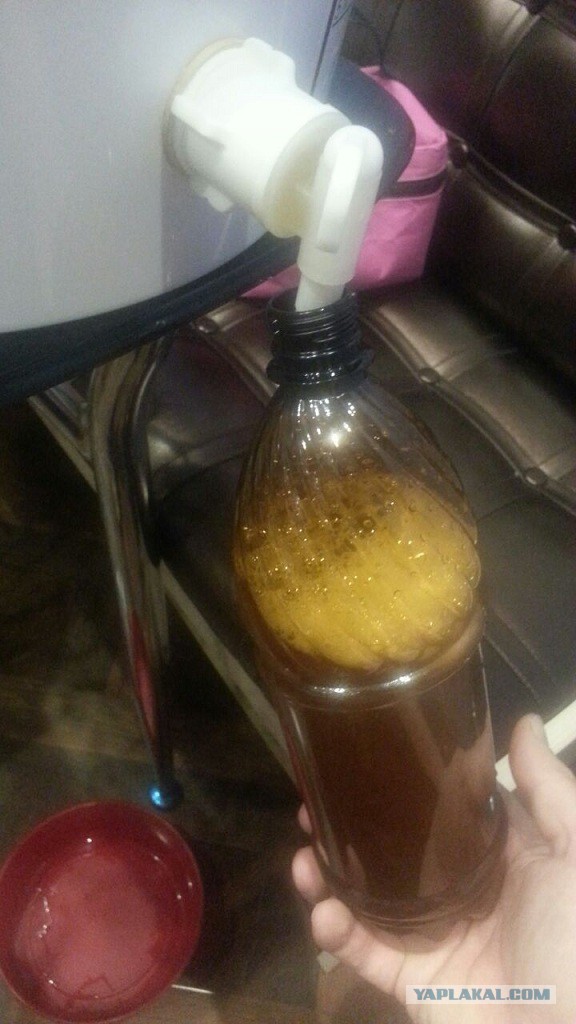 Про домашнее пиво