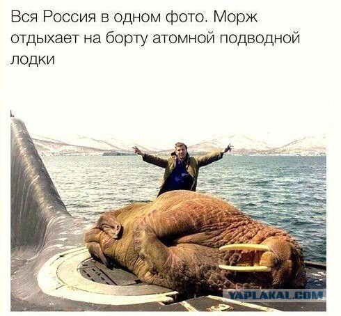 картинки на выходные