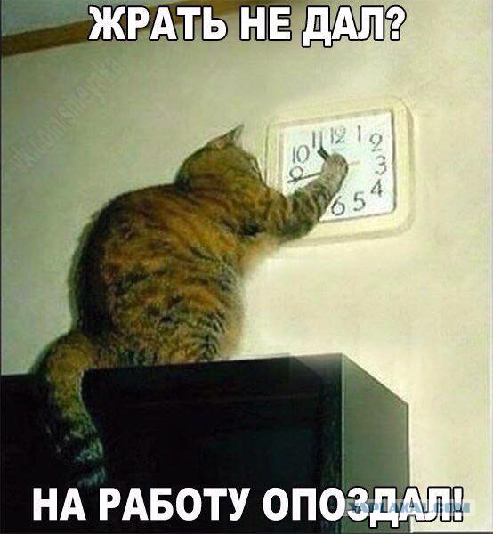Картинки на пятницу
