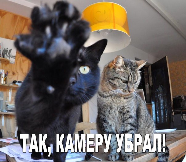 А давайте улыбнёмся В Новом Году