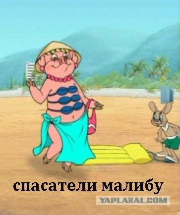 Оскар 2016 в кадрах "Ну, погоди!"