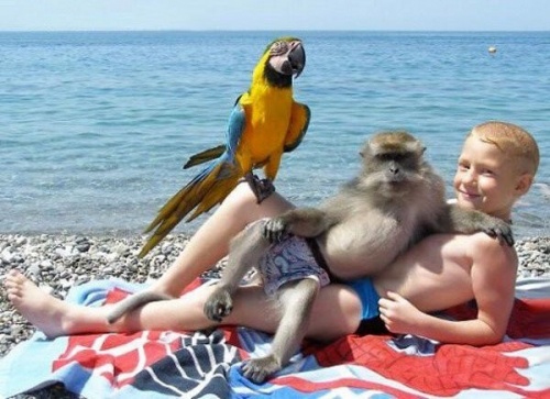 Подборка картинок 21.02.16