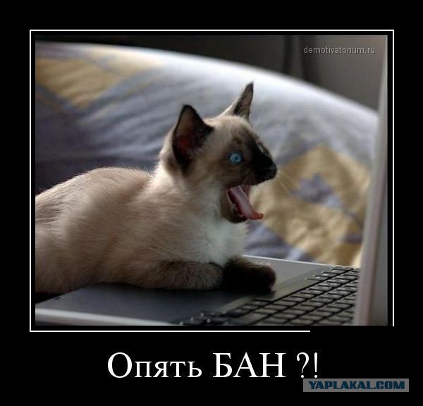 Весёлые картинки в чёрной рамке с просторов....