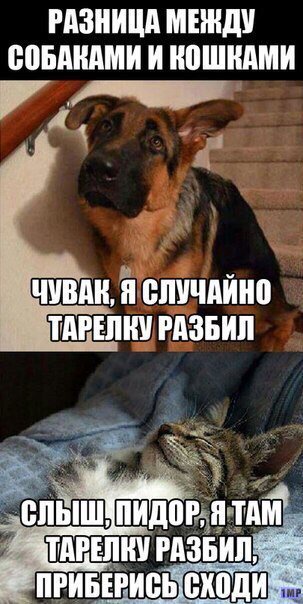 Смешные картинки