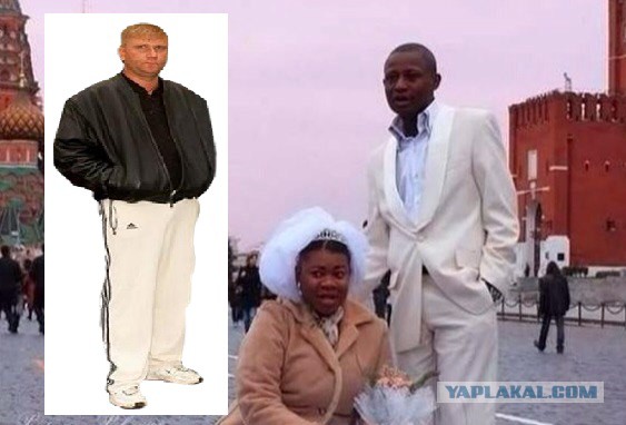 Вестник социальных сетей