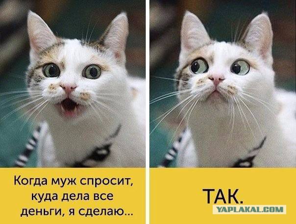 Картинки, демотиваторы и прочие приколы с просторов необъятного