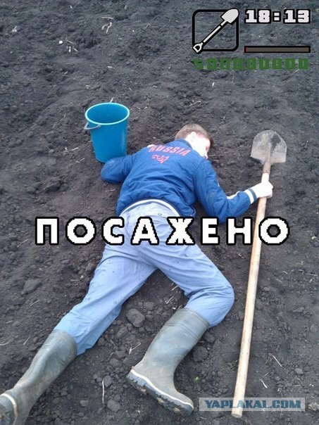 Смешные комментарии из социальных сетей 22.04.2016.