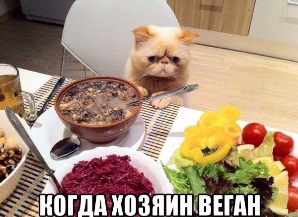 Мохнатые беспредельщики