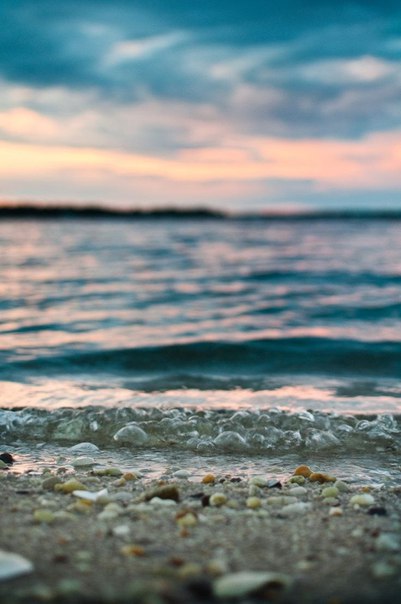 Интересные и веселые картинки