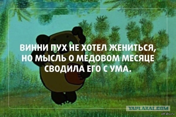 Весёлые картинки