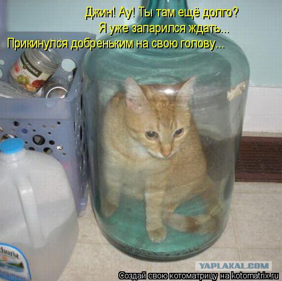 Что то пошло не так