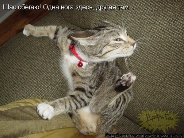 Всячина. Картинки
