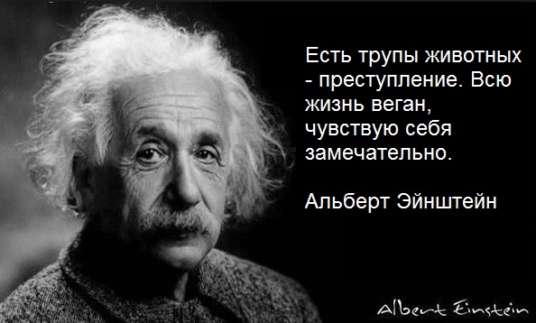 Шах и мат, веганы! Действительно ли нужно перестать есть мясо? 10 опровергнутых законов вегетарианства