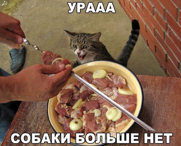 Смешные комментарии из социальных сетей 07.04.2017