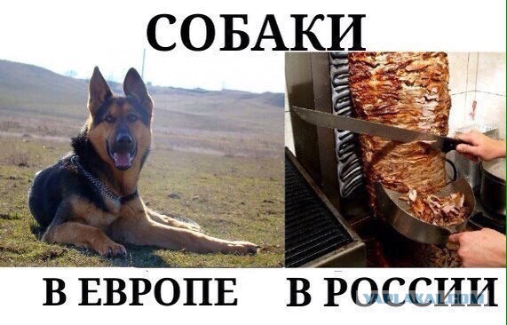 Пост аморального тупежа к этим выходным