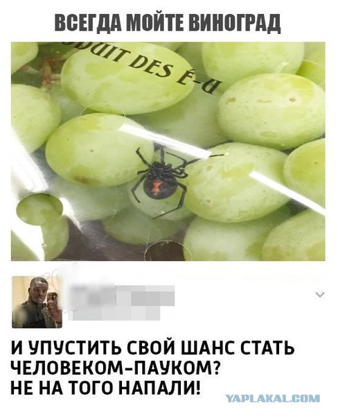 Картинки прикольные 25шт